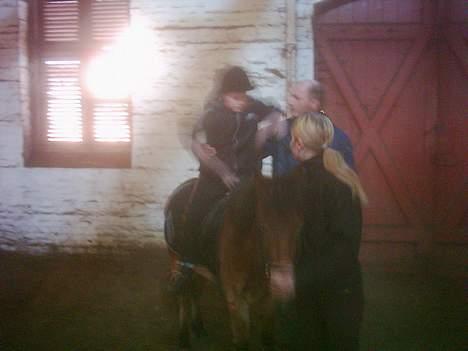 Dartmoor asterix - her rider min lille bror casper helt af alene på asterix men får hjælpe til at komme af. billede 11