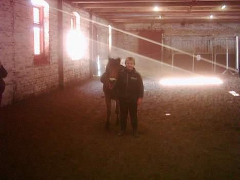 Dartmoor asterix - her står asterix og min lille bror helt af alene billede 12