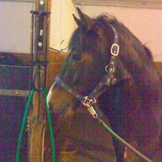 New Forest Isak X part :(