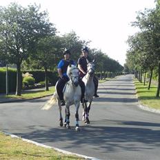 Anden særlig race Miss dulle