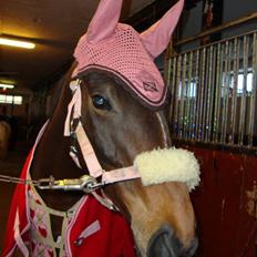 Anden særlig race Time and Patience 