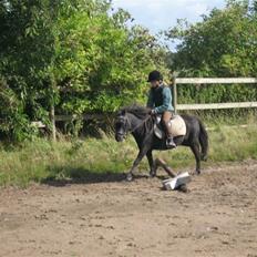 Anden særlig race Tequila.