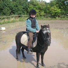 Anden særlig race Tequila.