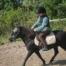 Anden særlig race Tequila.