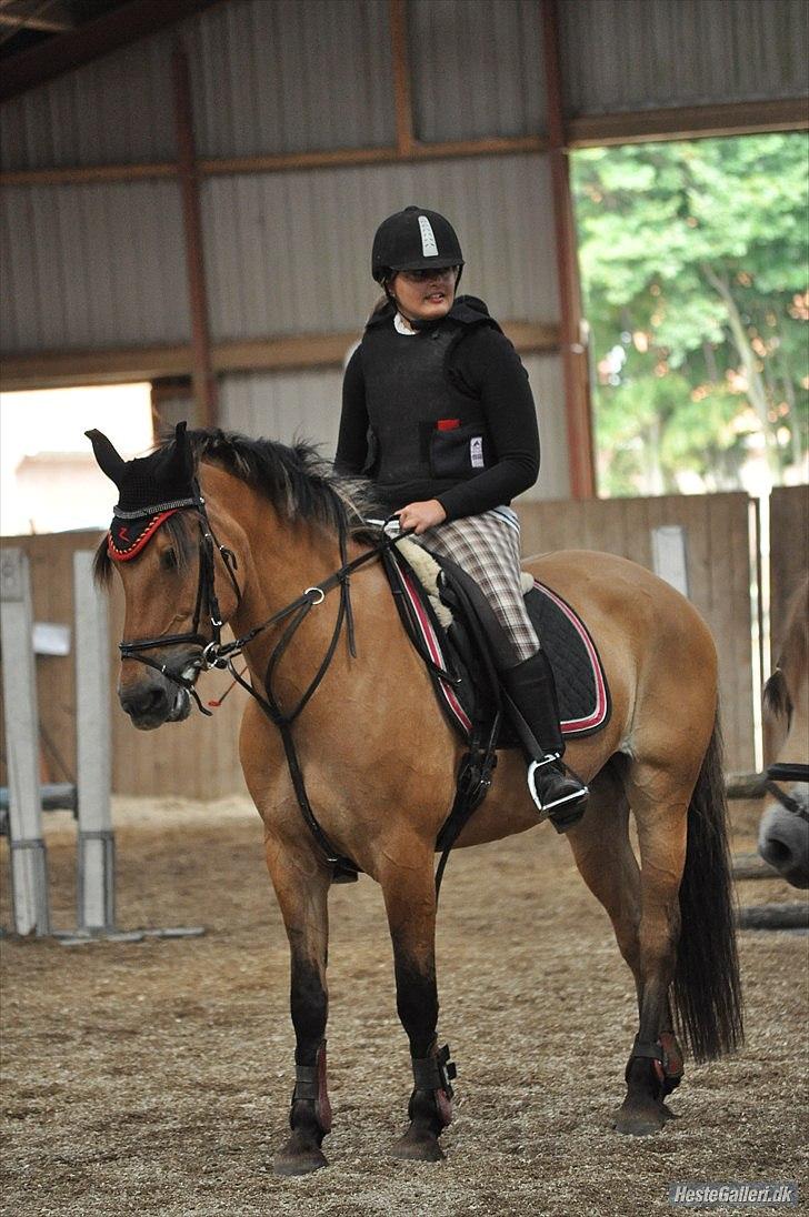 Anden særlig race Trunte min stjerne<3 Rest in peace <3 - 18# Ridelejer 2010. Spring undervisning (: Foto: bella. billede 17
