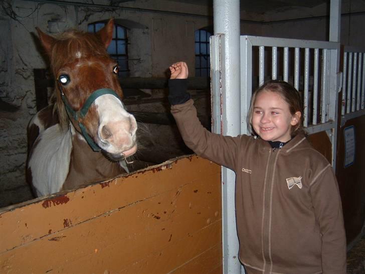 Anden særlig race Indianajones <333 R.I.P - Mig og indi :D billede 20