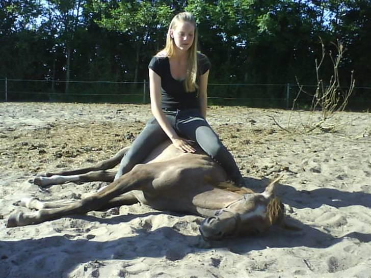 Arabisk fuldblod (OX) Ali-Nadirah *SOLGT* - Sommer 08, super hyggeligt :D billede 10