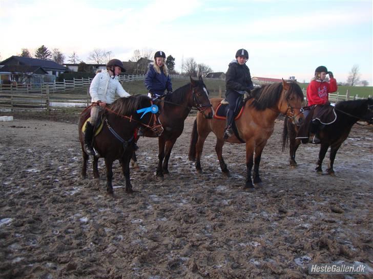 Fjordhest /Pinto Fie - premie overekelse 2 plads :) foto: ?? #13 billede 13