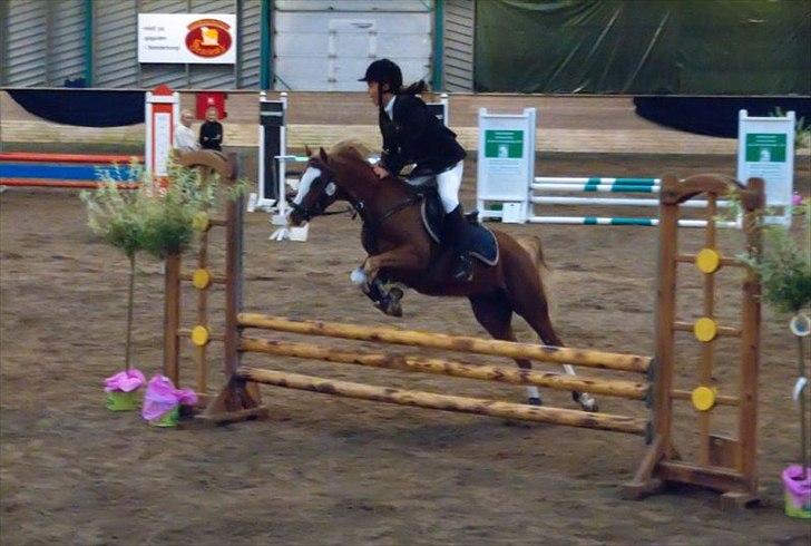 Welsh Pony (sec B) CeltonAristides *solgt* - Sønderborg Show Stævne LA spring ;-) 4 fejl tog en bom :-( men en god pony billede 19