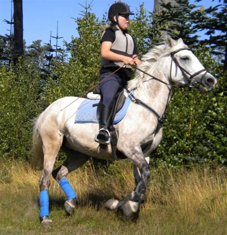 DSP Snekkerups Maja billede 16