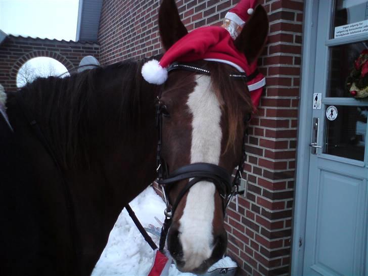 DSP Evita  billede 19