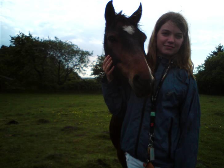 Anden særlig race complet (solgt) billede 14