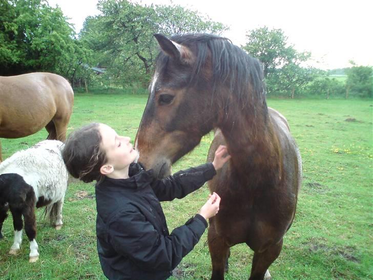 Anden særlig race complet (solgt) billede 15