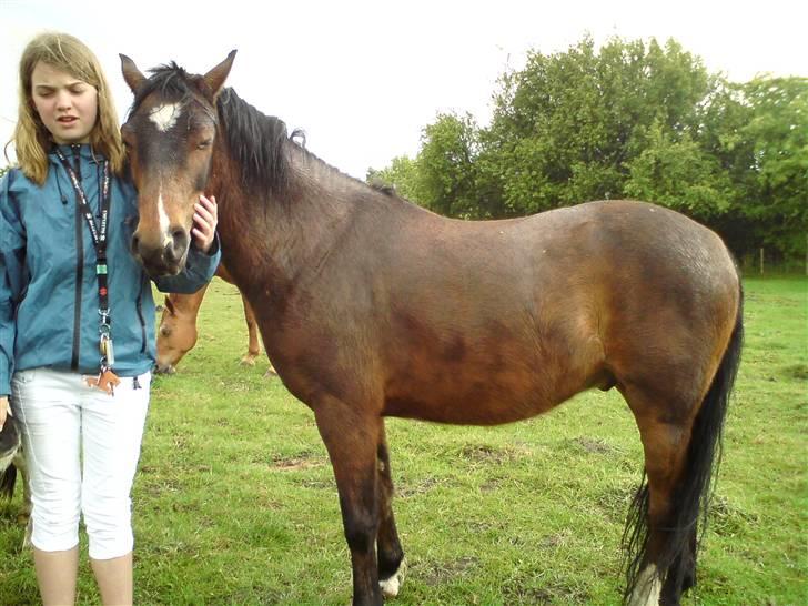 Anden særlig race complet (solgt) billede 16