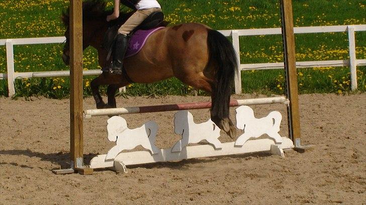 Anden særlig race Buster Larsen <3solgt :.- - et godt team foto min søde mor billede 3