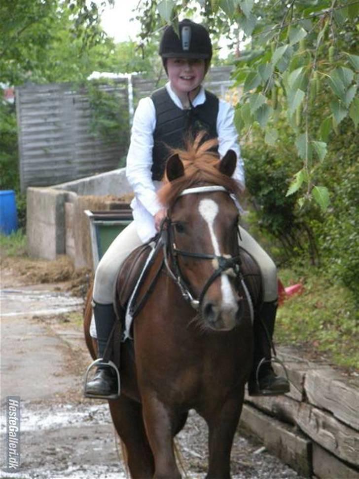 Tysk Sportspony Whysky <3|Mit alt| - da vi ikke kendte hinanden så godt. <3   Der var engang en lille pige, som så uendelig gerne ville have end pony, men hun fik så meget mere. Hun fik en bedste ven. Jeg fik dig. billede 3