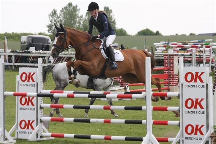 Holstener Clemento 2 - R.I.P :'( - Kong Clemens! Foto: Gitte Dahl <3 billede 1