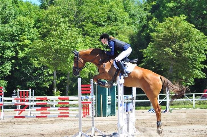 Holstener Clemento 2 - R.I.P :'( - MUMS :* billede 3