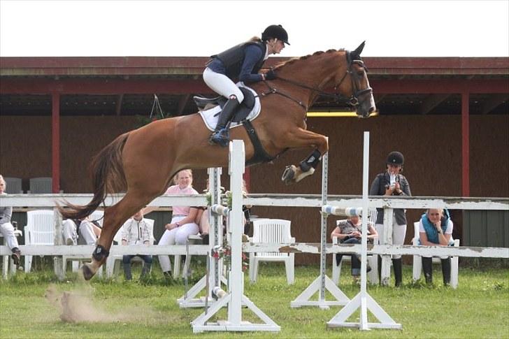 Holstener Clemento 2 - R.I.P :'( - Foto: Gitte Dahl billede 4