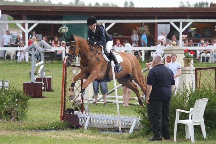 Holstener Clemento 2 - R.I.P :'( - Foto: Gitte Dahl billede 6