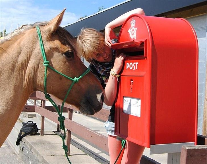 Anden særlig race Karlsbjerggårds Surprise  -  Vi skal lige poste brevet! :D Fotograf: Cille billede 10