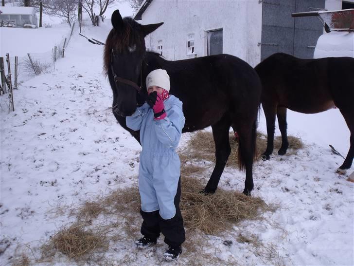 Anden særlig race Bacardi - januar 2010, Bacardi og Johanne billede 16