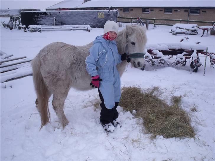 Anden særlig race Sasja R.I.P. - januar 2010, Johanne og Sasja billede 18