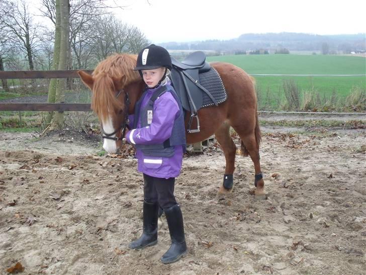 Anden særlig race Bella - november 2009 billede 12