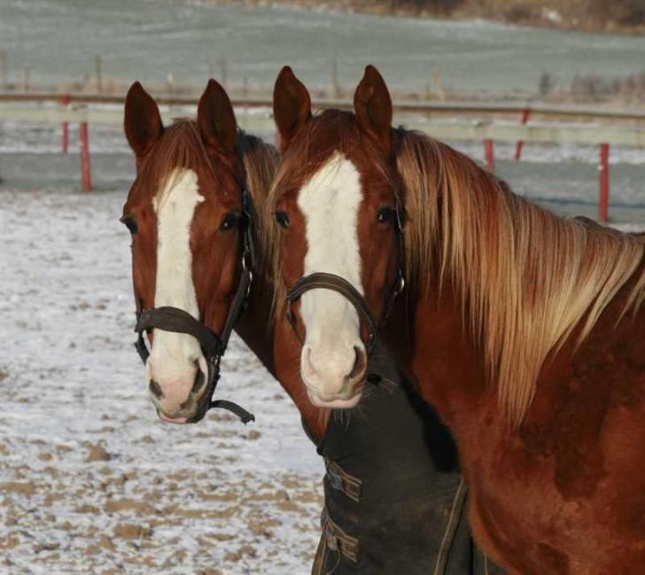 Holstener Jazz Dance billede 6