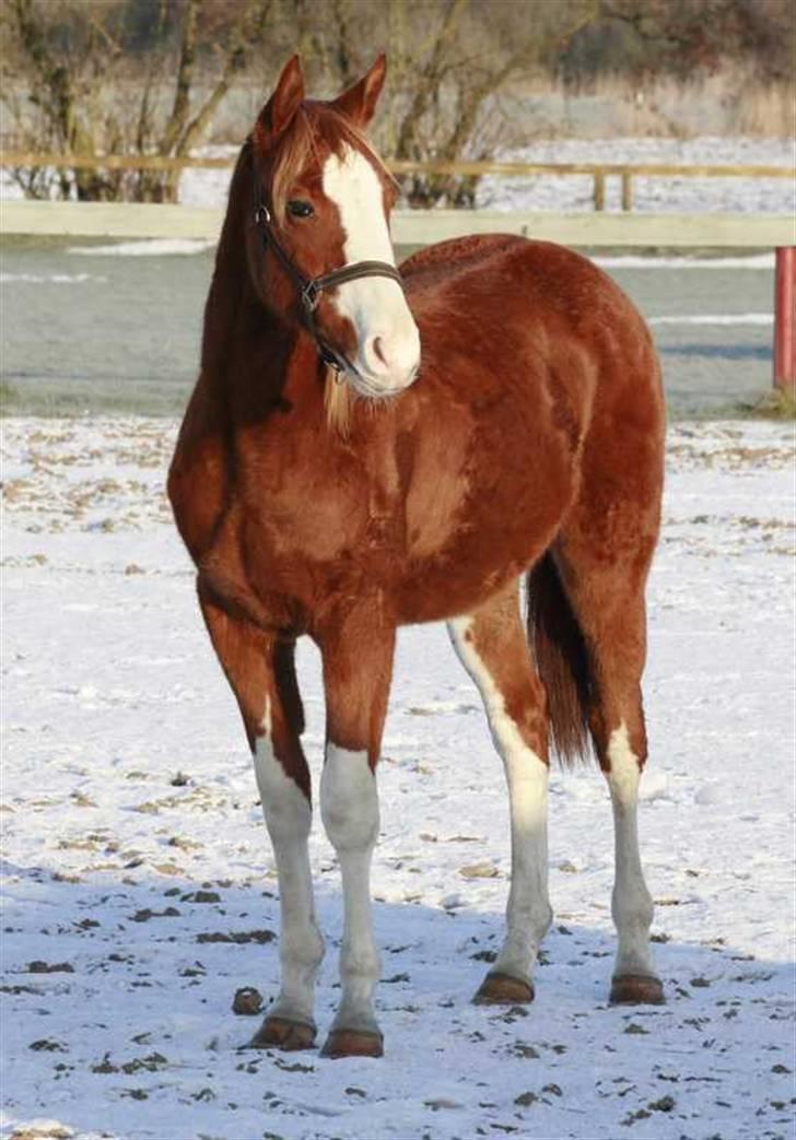 Holstener Jazz Dance billede 7