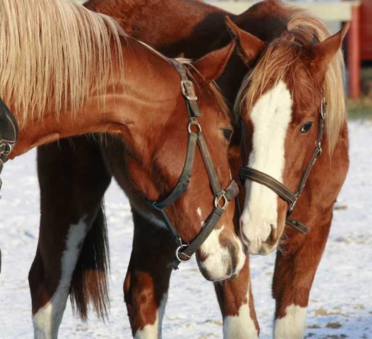 Holstener Jazz Dance billede 8