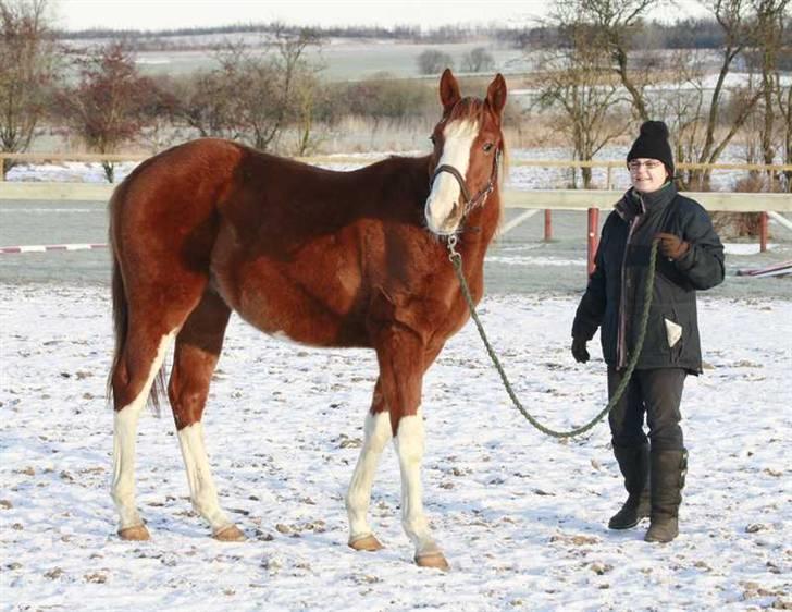 Holstener Jazz Dance billede 9