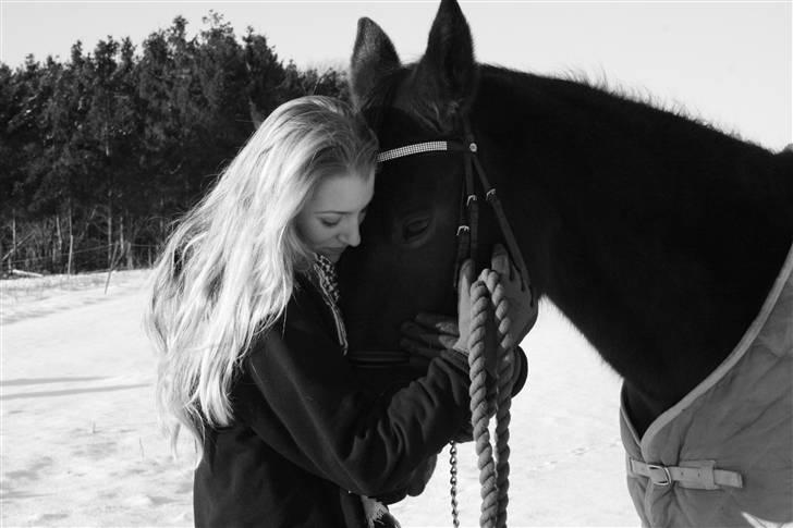 Dansk Varmblod Prinsesse Nathalie <3 † - d. 8. januar 09 [foto: cindy] jeg elsker dig hest <3 billede 16