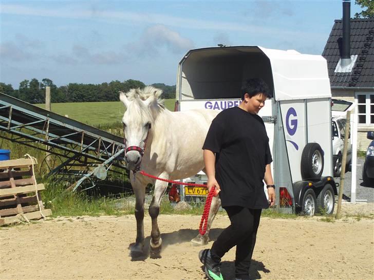 Anden særlig race Miss dulle - Hygge med dulle! <3 billede 2
