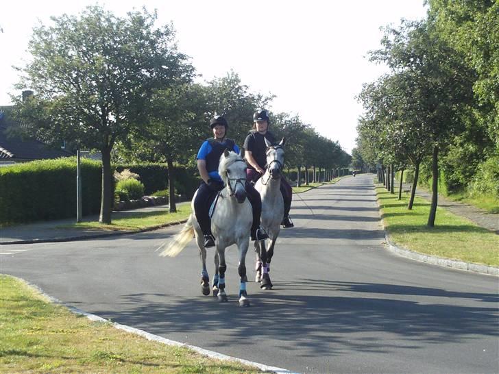 Anden særlig race Miss dulle - på tur? :b billede 3