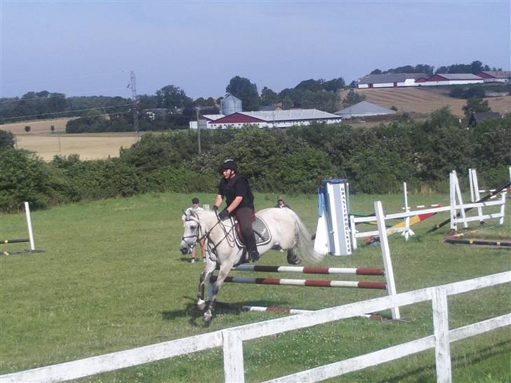 Anden særlig race Miss dulle - Spring! :D billede 4