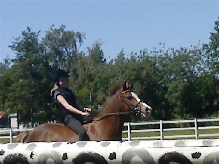 Anden særlig race Jupiter billede 6