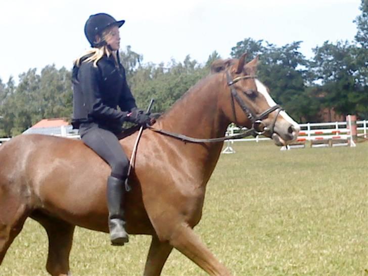 Anden særlig race Jupiter billede 7