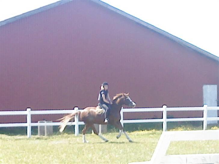 Anden særlig race Jupiter billede 9