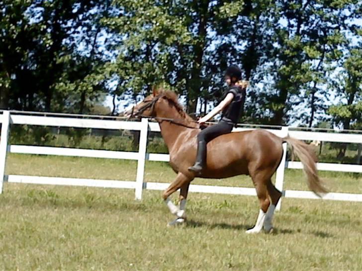 Anden særlig race Jupiter billede 10