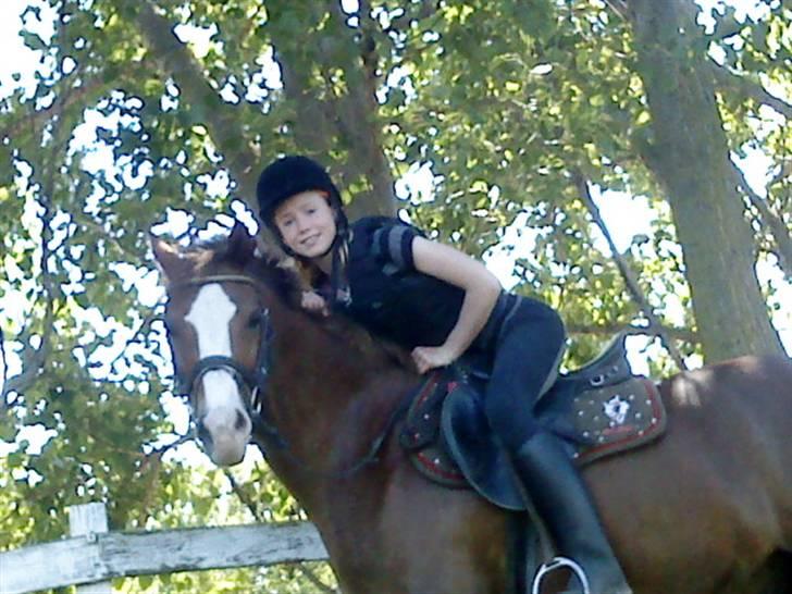 Anden særlig race Jupiter billede 11