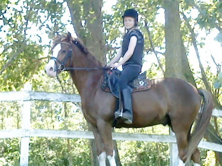 Anden særlig race Jupiter billede 12