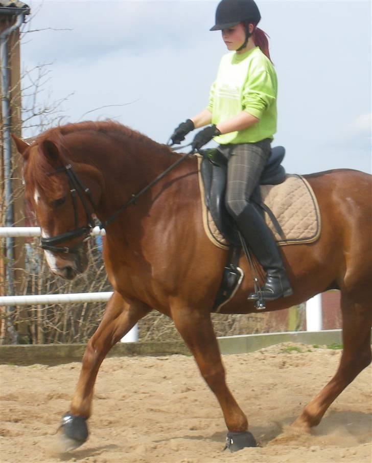 Anden særlig race Fakir.!  - Maj 2009! :D<3 billede 13