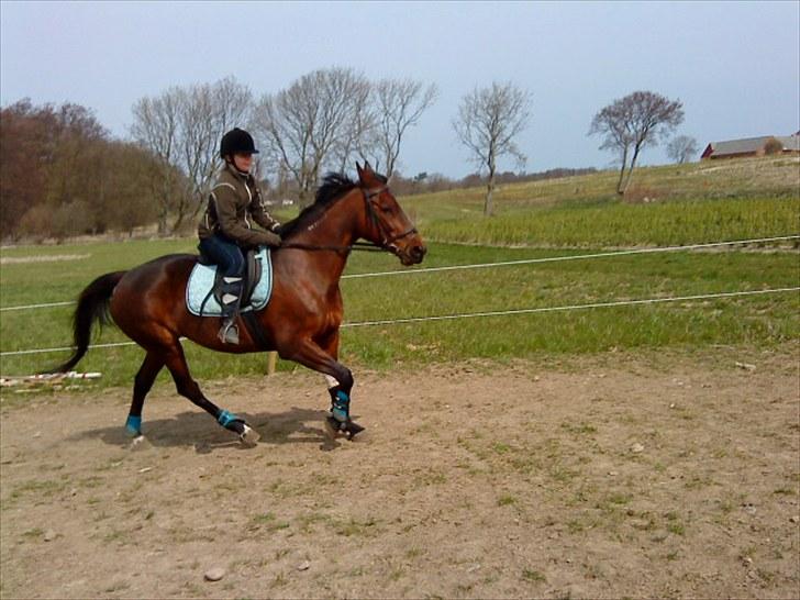 Traver April New SOLGT =( billede 18