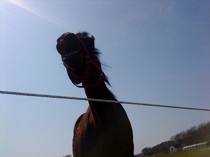 Traver April New SOLGT =( billede 19