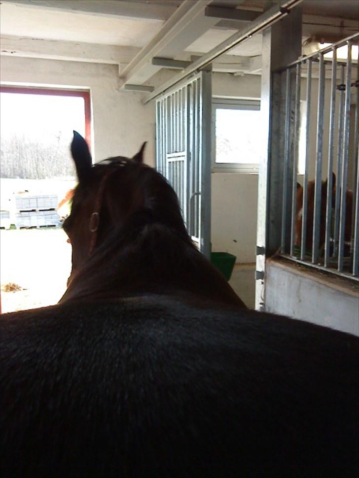 Traver April New SOLGT =( billede 20