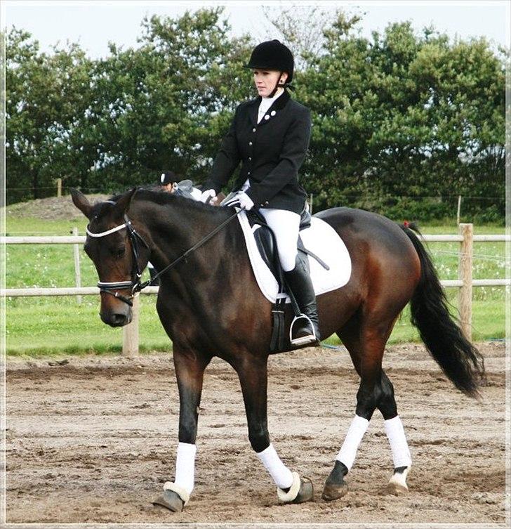 Anden særlig race Chiquita *Bananen* - Min lækre hoppe.. :-) billede 8