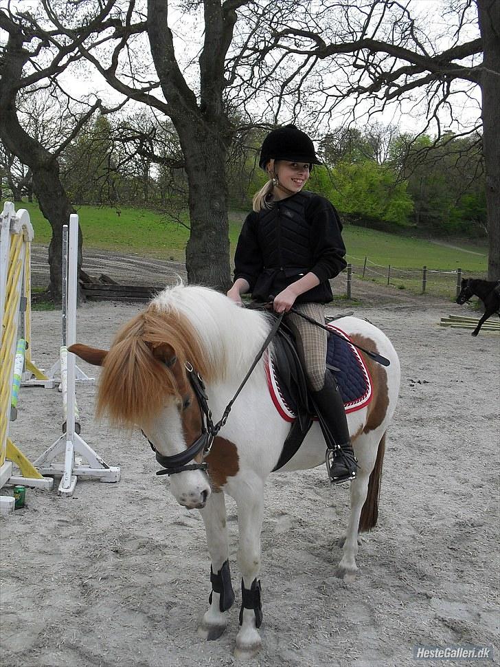 Pinto Rasmus - Til Spring Træning d. 11/5-10 ;) <33 taget af: Laura <33 billede 2