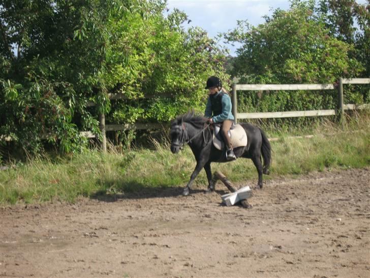 Anden særlig race Tequila. - wii vi springer<3 velkommen til tequilas profil<3 billede 1