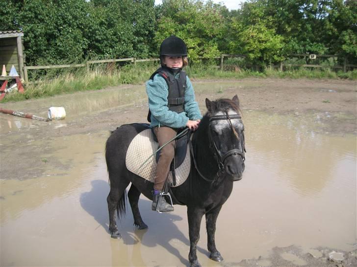 Anden særlig race Tequila. - stå nu pænt teqqe !!:P billede 2